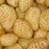 Yellow Wonder Alpine Strawberry -Alpha Shop 270278466