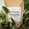 Elm Dirt All-Purpose Potting Mix 2 Elm Dirt All-Purpose Potting Mix -Alpha Shop IMG 5165 1