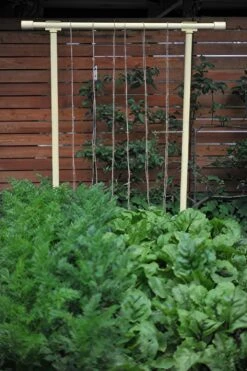 Freyr Trellis By Seattle Urban Farm Company -Alpha Shop dandelion yellow gigapixel standard scale 6 00x cf02eff6 2c92 4e0d 8396 31d0d9480f7f