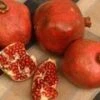 Red Silk Pomegranate -Alpha Shop httpraintreenursery.netpd491 01