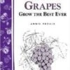 Great Grapes 2 Great Grapes -Alpha Shop httpraintreenursery.netps180