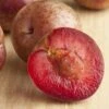 Combo Zee Sweet Pluot Tree (3 Varieties) -Alpha Shop zee sweet pluot
